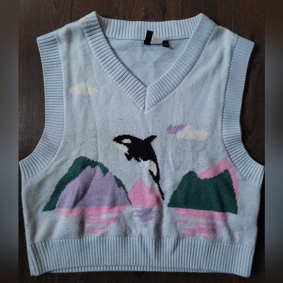 H&M Sweaters - H&M Knit Vest with Orca Design
